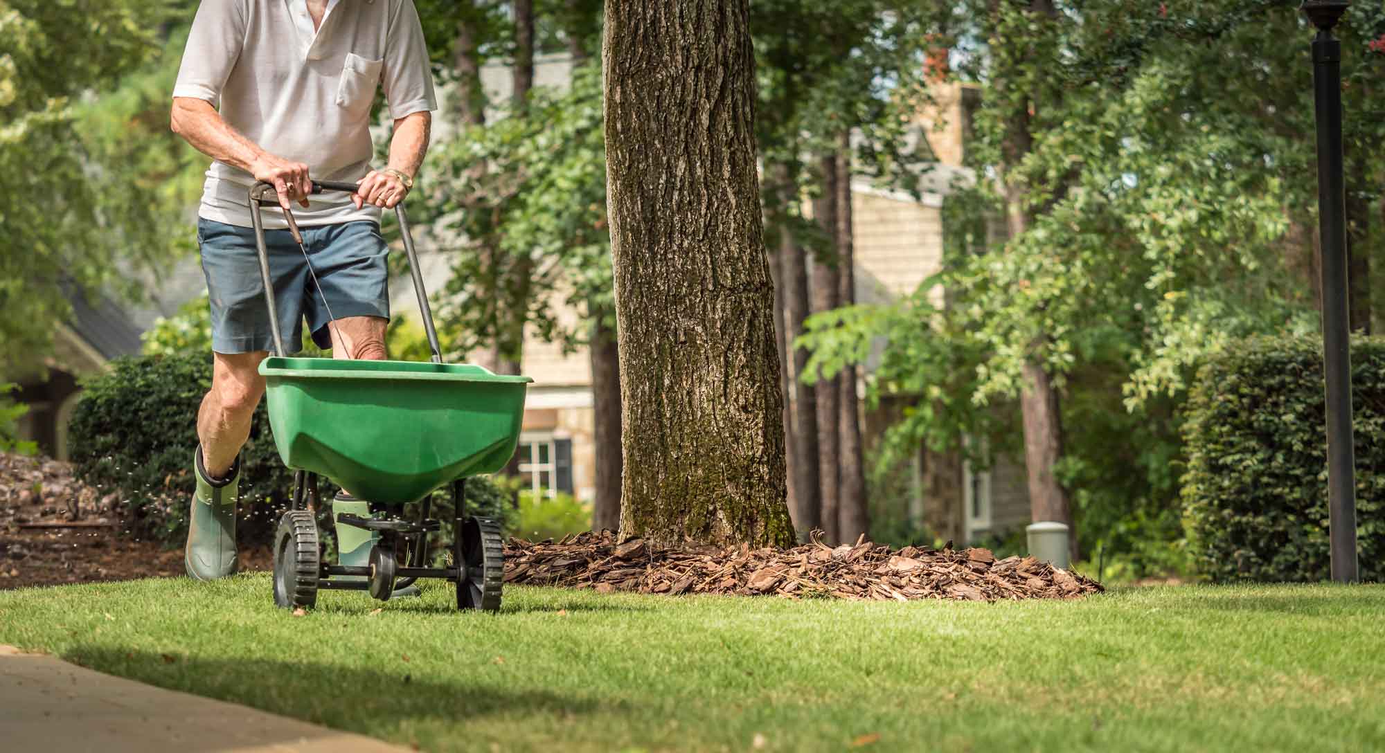 Spring into Action: Essential Tips for Fertilization and Maintenance to Revitalize Your Landscape