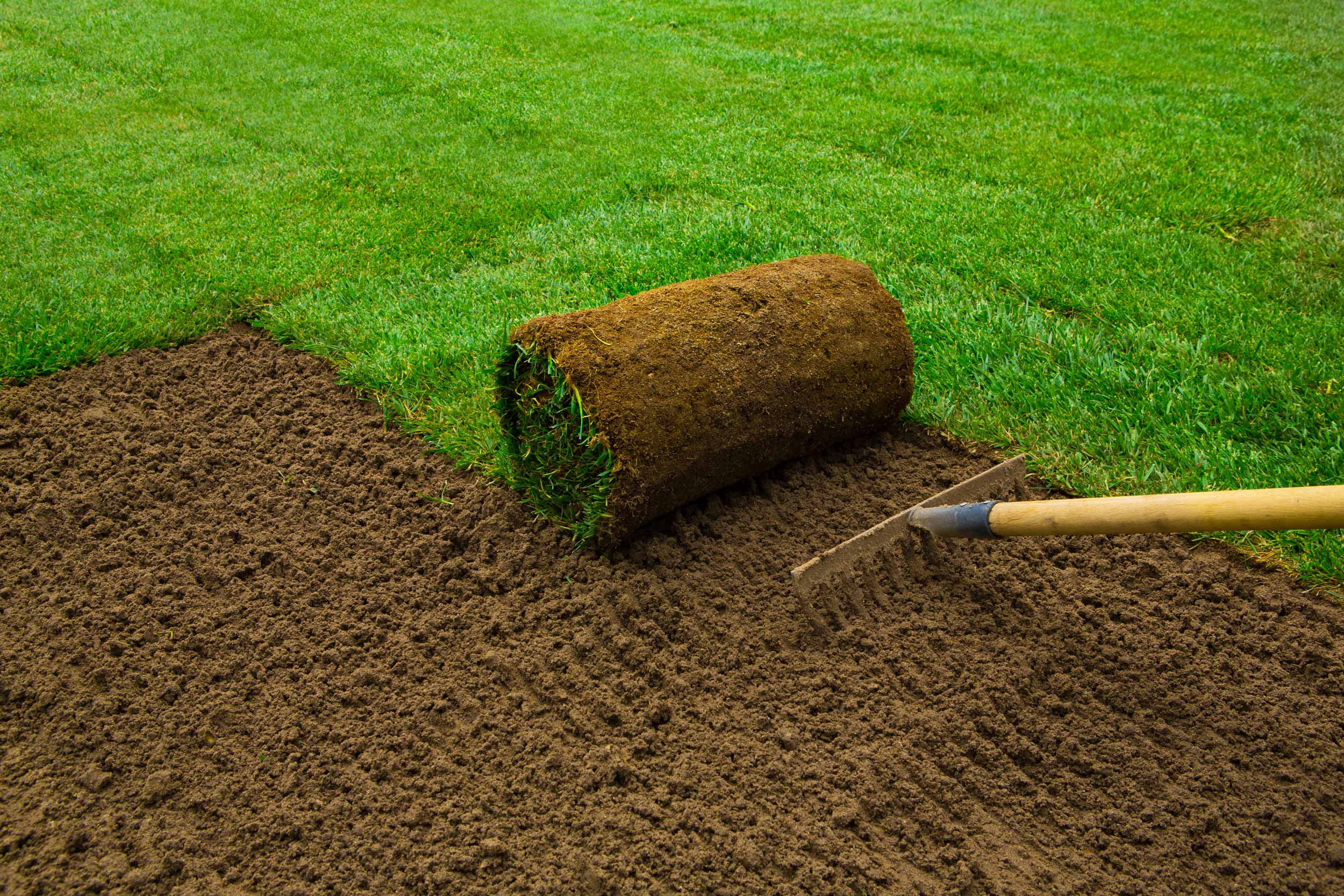 Spring into Green: The Ultimate Guide to Sod Installation with Executive Green